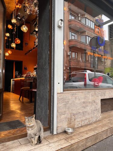 Aerium Coffee Shop - Photo 1