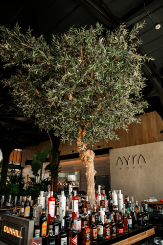 Avra Port - Photo 1