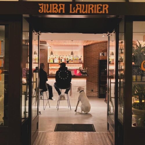 Bar Jiuba Laurier - Photo 1