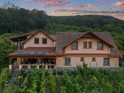 Casa Adam - Photo 1