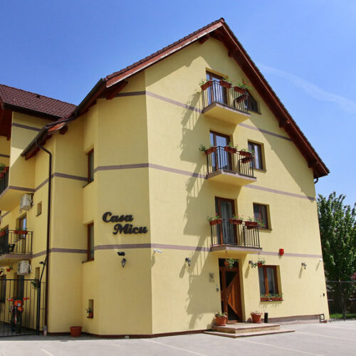 Casa Micu - Photo 1