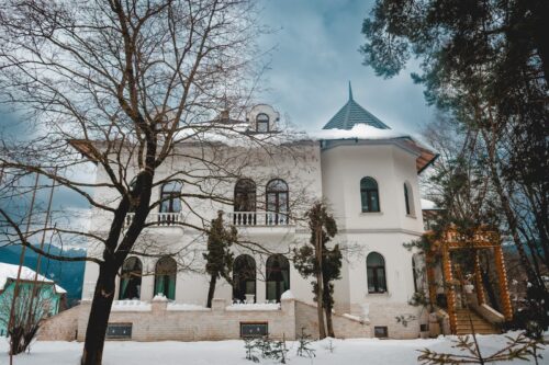 Conacul Dima - Photo 1