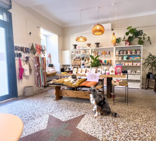 Full Bloom Café - Photo 1