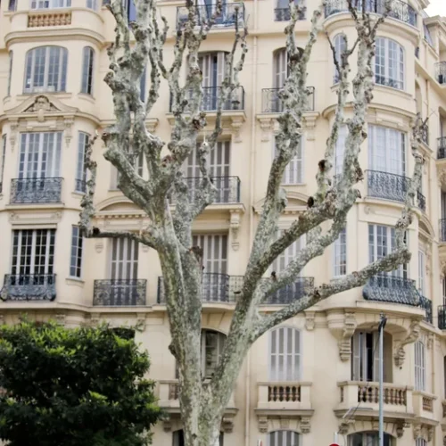 Hôtel Victor Hugo Nice - Photo 1