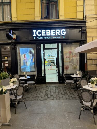 Iceberg Frozen Yogurt - Photo 1