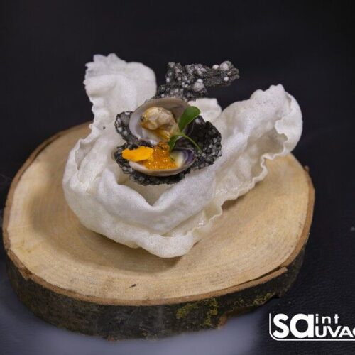 Le Saint Sauvage - Photo 1