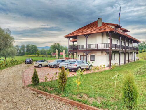 Pensiunea Sonnenhof - Photo 1
