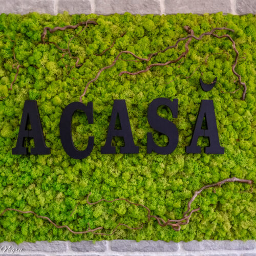 Restaurant Acasa Sibiu - Photo 1
