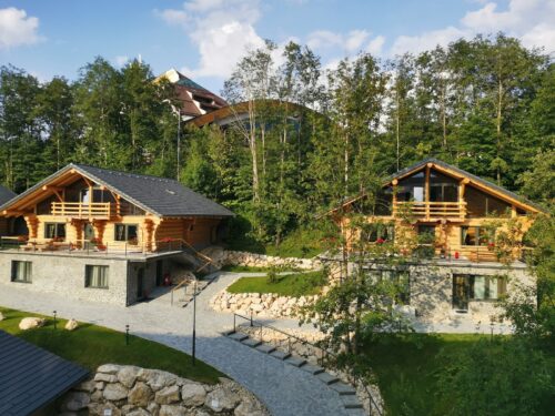 Rozmarin - Photo 1
