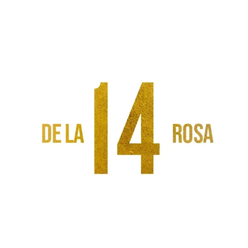 14 De La Rosa - Photo 1