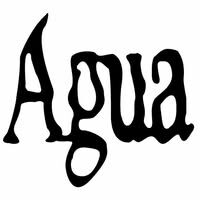 Agua Bar - Photo 1