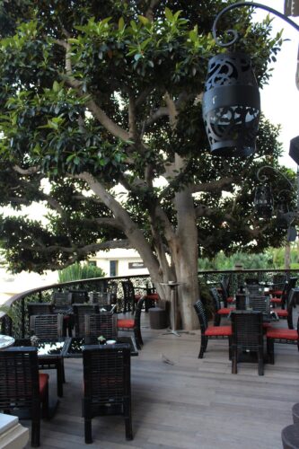 Buddha-Bar Monte-Carlo - Photo 1