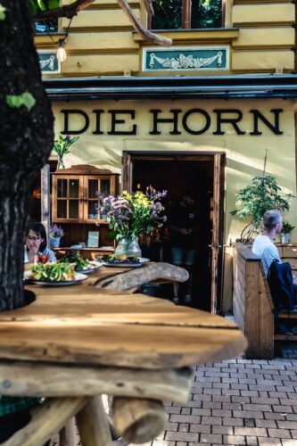 DIE HORN - Photo 1
