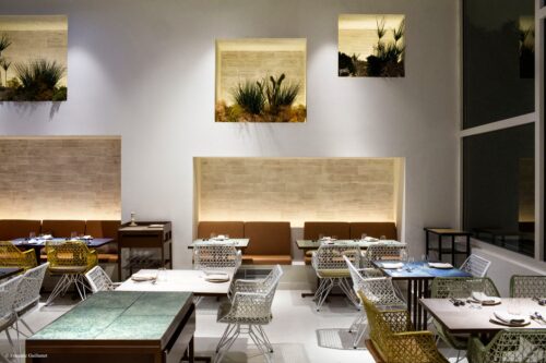 Disfrutar - Photo 1