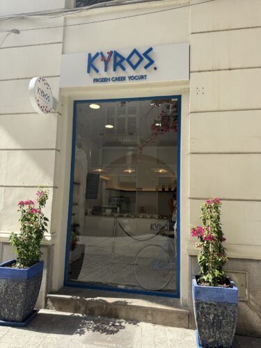 KYROS Frozen Greek Yogurt - Photo 1