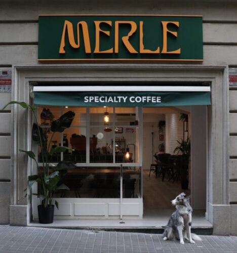 Merle Coffee - Photo 1