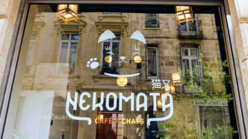 NEKOMATA – Cat Cafe - Photo 1