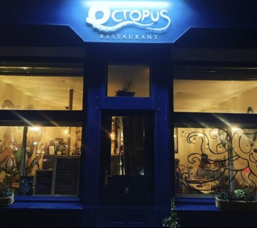 Octopus - Photo 1