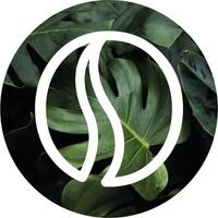 Origin – Coffee Shop Vegetal - Photo 1