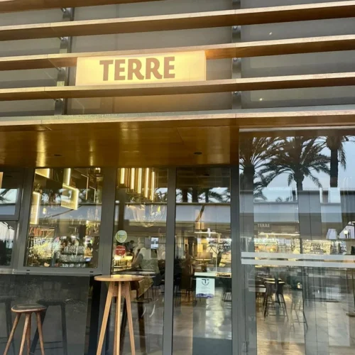 Terre - Photo 1