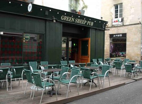The Green Sheep - Photo 1