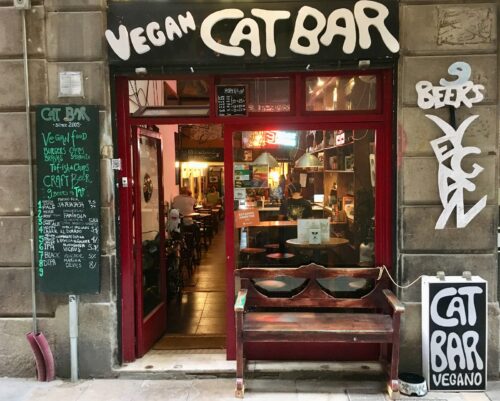 Vegan Cat Bar - Photo 1
