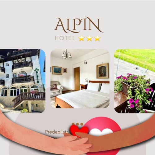 Alpin - Photo 1
