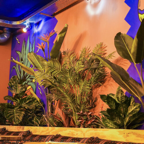 AU TOUCAN FRINGANT – Happy Hour de 16h à 21h ! - Photo 1
