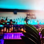 BAR ELLIS - Photo 1