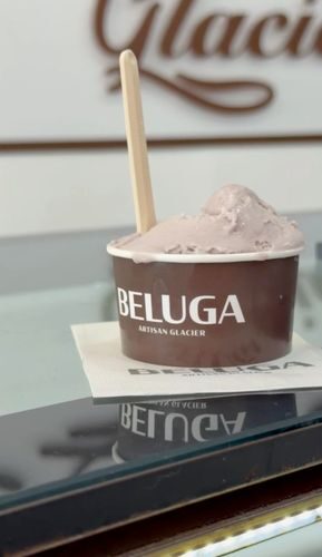 BELUGA - Photo 1