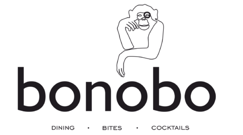 Bonobo - Photo 1