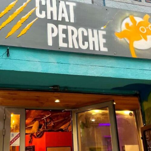 Chat perché - Photo 1