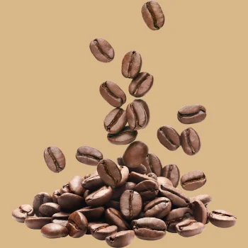 COFFEE ADDICT - Photo 1