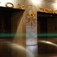 Fox Congo - Photo 1