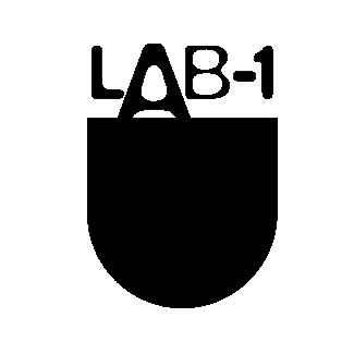 LAB-1 - Photo 1