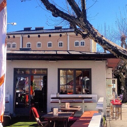 Monkeys cafe bar cityoasis - Photo 1