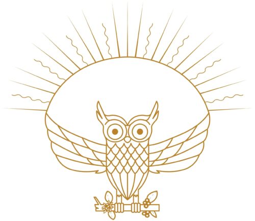 Morning Owl Coffee - Photo 1