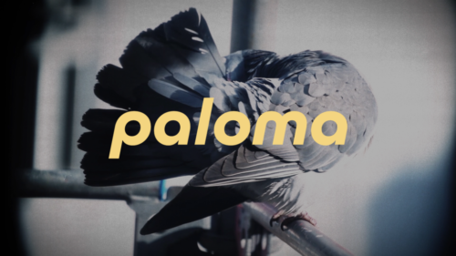 Paloma🍷 - Photo 1