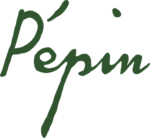 Pépin - Photo 1