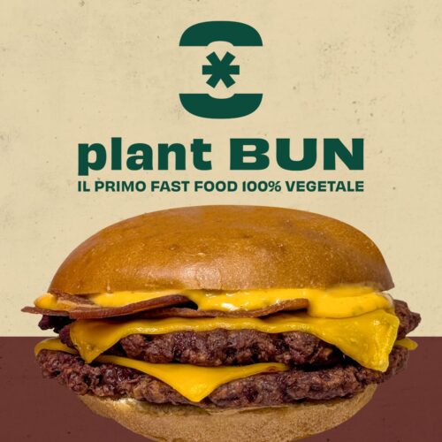 Plant Bun - Photo 1