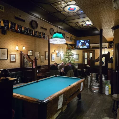 The Hippo Disco Pub - Photo 1