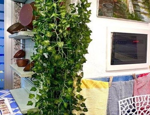 Trattoria canta napoli - Photo 1