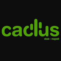 Cactus - Photo 1