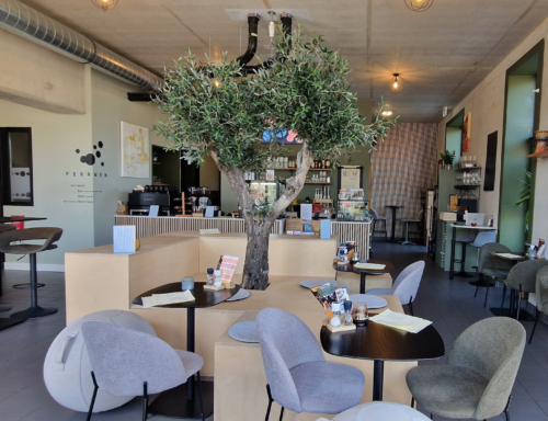 Fernweh Groningen - Photo 1
