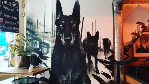 The Black Dog - Photo 1