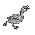 Ugly Duckling - Photo 1